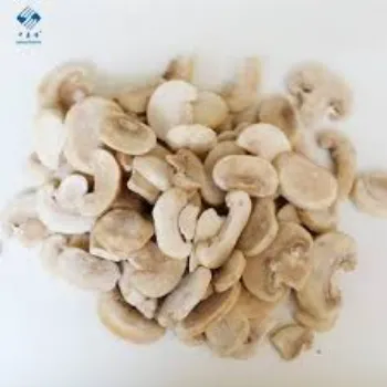Frozen Mushroom frozen-mushroom5-1054833-62631.webp