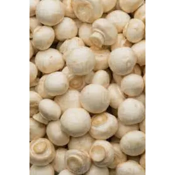 Organic Frozen Mushroom frozen-mushroom5-7289882-52394.webp