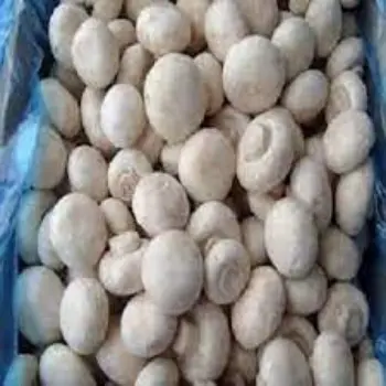 Organic Frozen Mushroom frozen-mushroom6-1028574-31984.webp