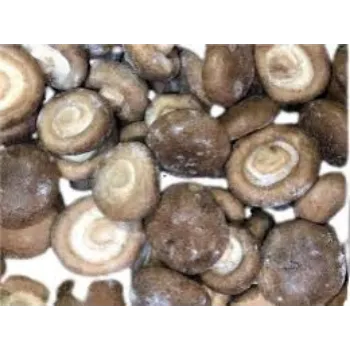 Organic Frozen Mushroom frozen-mushroom6-9559738-79423.webp