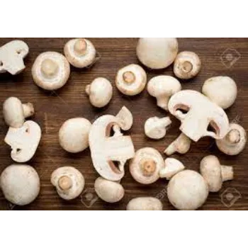 Natural Frozen Mushroom frozen-mushroom7-1375161-70609.webp