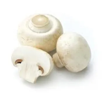 Natural Frozen Mushroom frozen-mushroom7-2135353-20040.webp