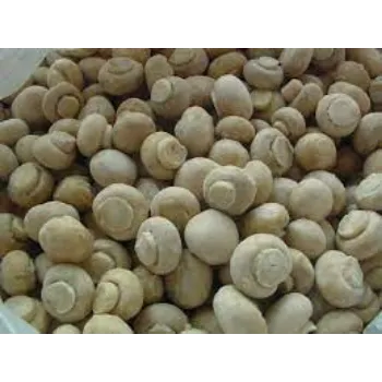 Common Frozen Mushroom frozen-mushroom8-1696885-83280.webp