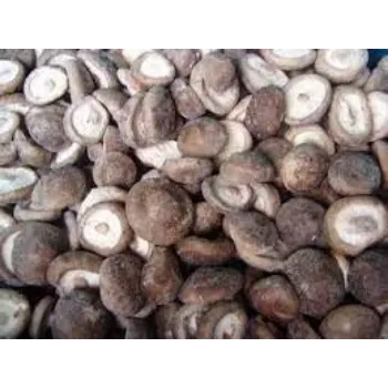 Natural Frozen Mushroom frozen-mushroom8-5213872-91652.webp