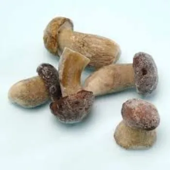 Common Frozen Mushroom frozen-mushroom8-7056312-79246.webp