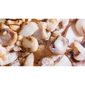 Natural Frozen Mushroom frozen-mushroom9-112406-30599.webp