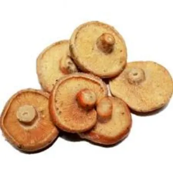 Organic Frozen Mushroom frozen-mushroom9-6572349-5932.webp