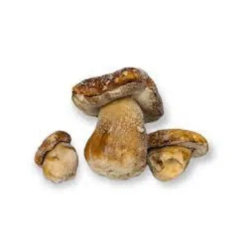 Frozen Mushroom frozen-mushroom9-7255776-28249.webp