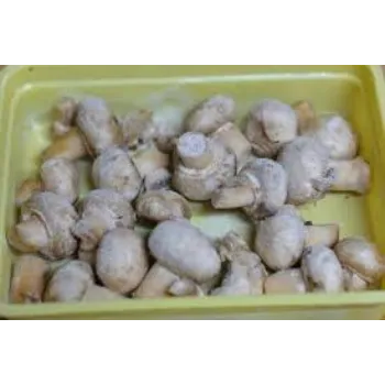 Fresh Frozen Mushroom frozen-mushroom9-7472541-82760.webp