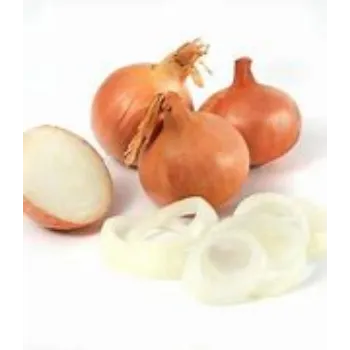 Frozen Onion frozen-onion-01-2097583-65479.webp
