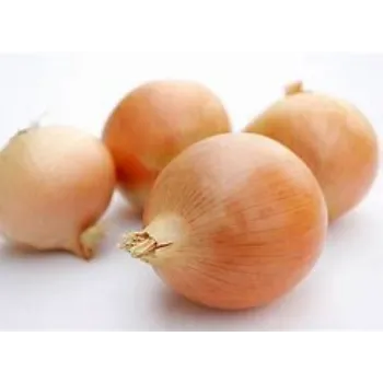 Frozen Onion frozen-onion-03-5371839-17474.webp