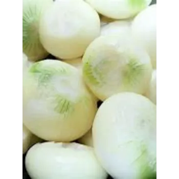 Frozen Onion frozen-onion-04-3007820-8790.webp