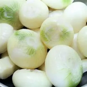 Frozen Onion frozen-onion-04-5312700-87105.webp