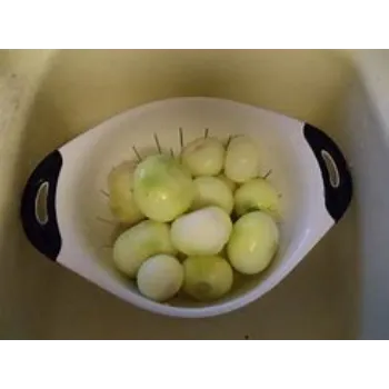 Frozen Onion frozen-onion-07-1744828-83350.webp