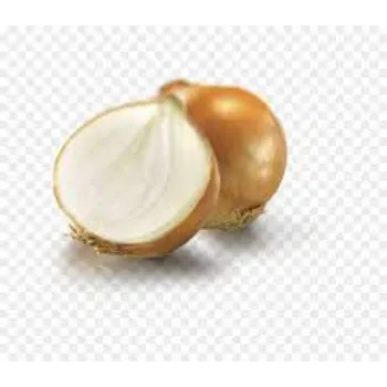 Frozen Onion frozen-onion-15-6784681-67559.webp