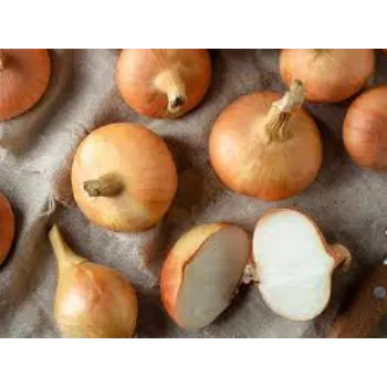 Common Frozen Onion frozen-onion10-1240367-99743.webp