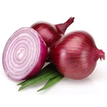 Natural Frozen Onion frozen-onion12-9013016-81416.webp