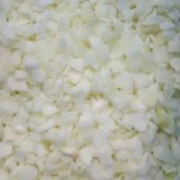 Organic Frozen Onion frozen-onion14-7861631-12656.webp