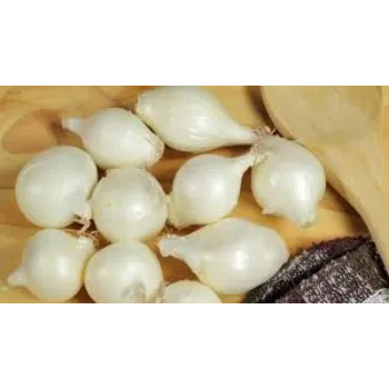 Organic Frozen Onion frozen-onion18-4160585-79444.webp