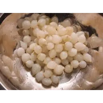 Fresh Frozen Onion frozen-onion3-2733110-42115.webp