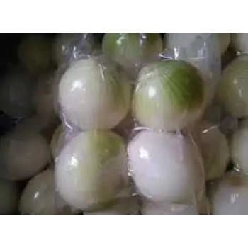 Natural Frozen Onion frozen-onion3-8253531-43262.webp