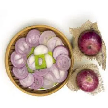 Natural Frozen Onion frozen-onion4-5150770-52477.webp