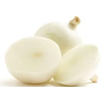 Organic Frozen Onion frozen-onion9-5230728-92502.webp