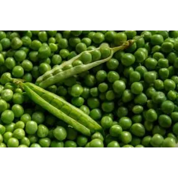 Organic Frozen Peas frozen-peas10-8438032-51397.webp