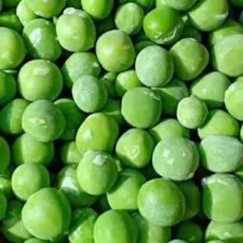 Common Frozen Peas frozen-peas14-7959828-41512.webp