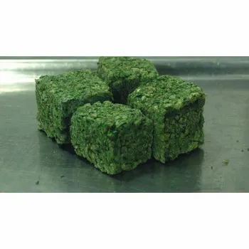 Frozen Spinach frozen-spinach-10-7277294-89536.webp