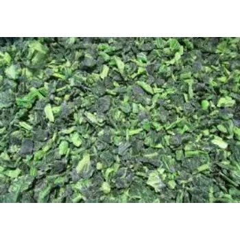 Common Frozen Spinach frozen-spinach03-6960162-66441.webp
