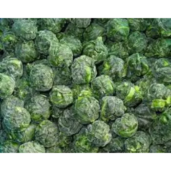 Organic Frozen Spinach frozen-spinach06-5795823-85843.webp