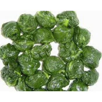 Common Frozen Spinach frozen-spinach11-5219093-64722.webp