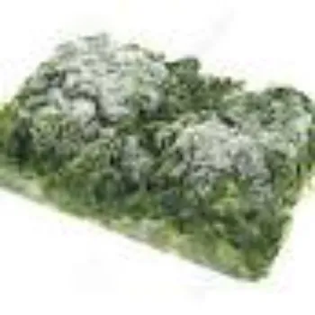 Natural Frozen Spinach frozen-spinach12-8175919-7975.webp
