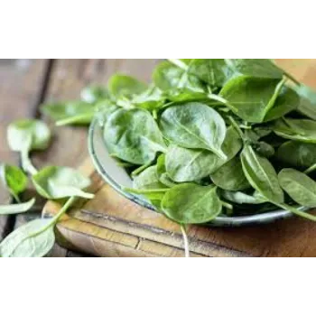 Organic Frozen Spinach frozen-spinach5-1279244-86629.webp