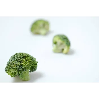 Common Frozen Broccoli frozon-broccoli-18-9395089-91859.webp