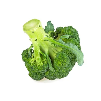 Natural Frozen Broccoli frozon-broccoli06-1849835-9467.webp
