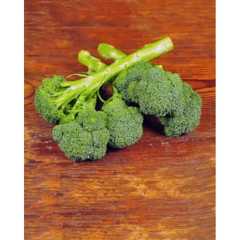 Common Frozen Broccoli frozon-broccoli40-3322143-48421.webp