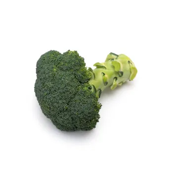 Natural Frozen Broccoli frozon-broccoli43-3941121-46214.webp