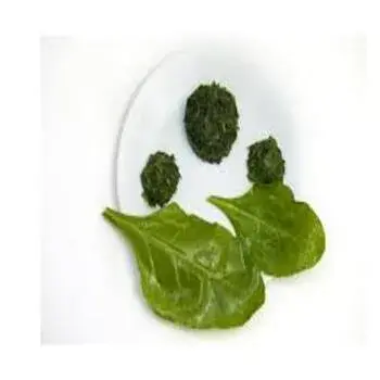 Green frozen spinach fs2-2410702-4784.webp