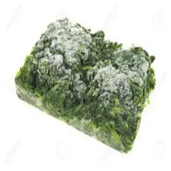 frozen Spinach fs3-5870498-62249.webp