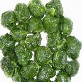 A Grade Green Frozen Spinach Cubes fs4-5471455-70303.webp