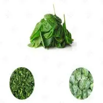 A Grade Green Frozen Spinach Leaves, Iqf fs7-1131715-66704.webp