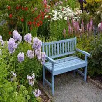 Blue, Wooden Bench For Gardens gb7-2272278-80924.webp