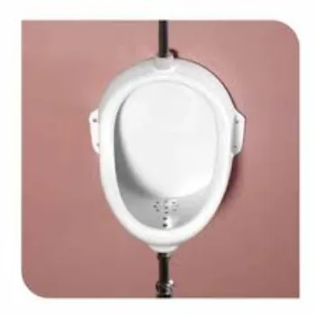 gent-urinal-1-5276426-46258.webp