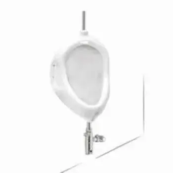 gent-urinal1-3461820-80915.webp