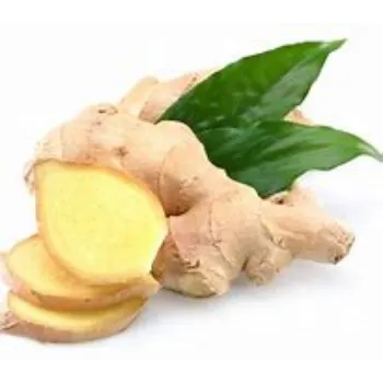 ginger-01-253396-88239.webp