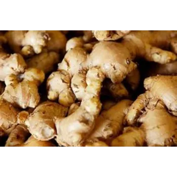 ginger-02-2871796-6457.webp