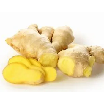 ginger-03-5952651-11842.webp