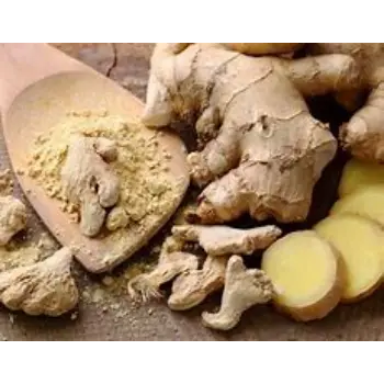 ginger-03-6171540-45468.webp